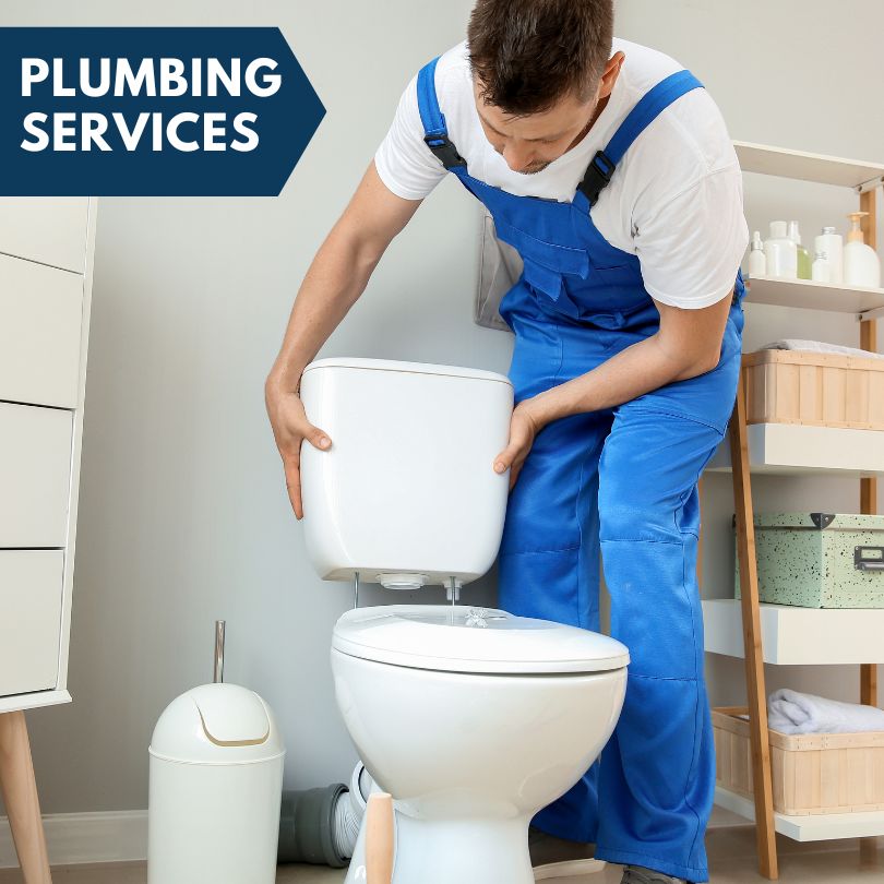 Plumbing Company in Laveen, AZ